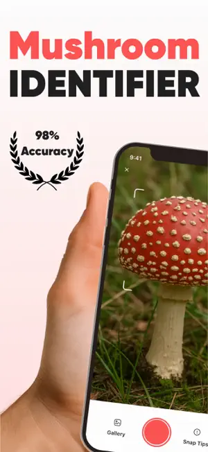 Mushroom Identification: AI ID screenshot 1