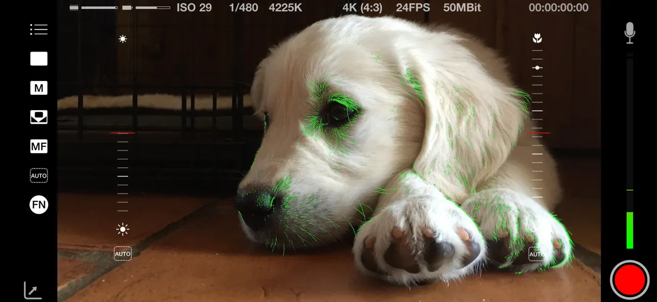 Screenshot #3 pour Mavis - Camera Classic