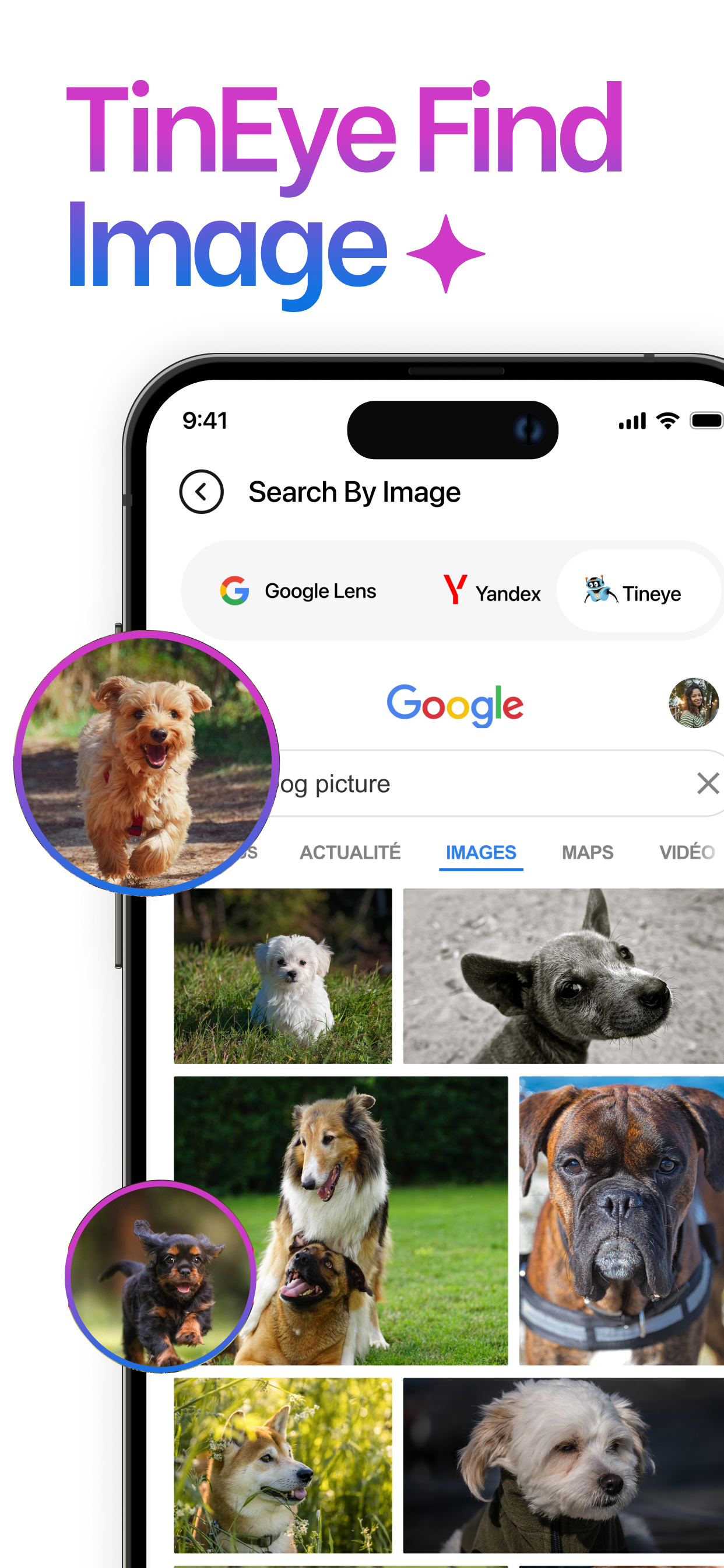 Image Search – Reverse Lookup screenshot 6