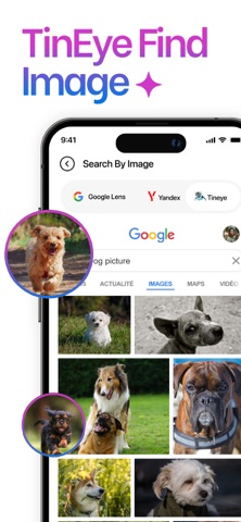 Image Search – Reverse Lookup Screenshot 6 of 6