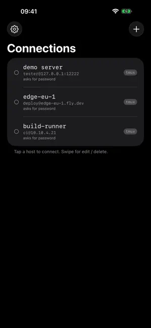 dotMux easy SSH with tmux iPhone screenshot 2