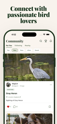 Birdr: Rare Bird Alerts & ID screenshot