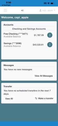 Bank of New Cambria screenshot