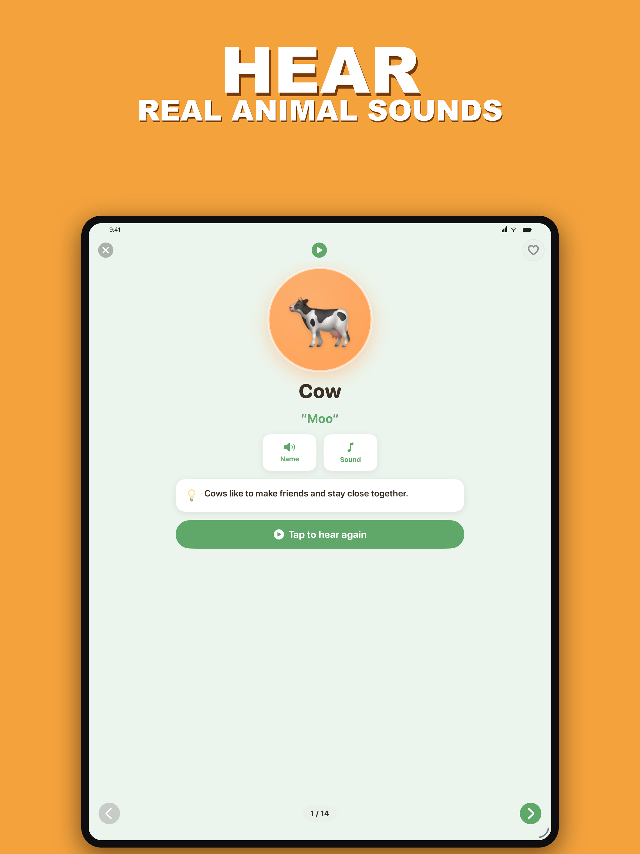 Animal Sounds for Kids Play screenshot 9