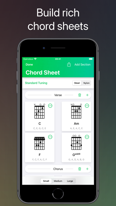 ChordShapes : Guitar Chords Screenshot