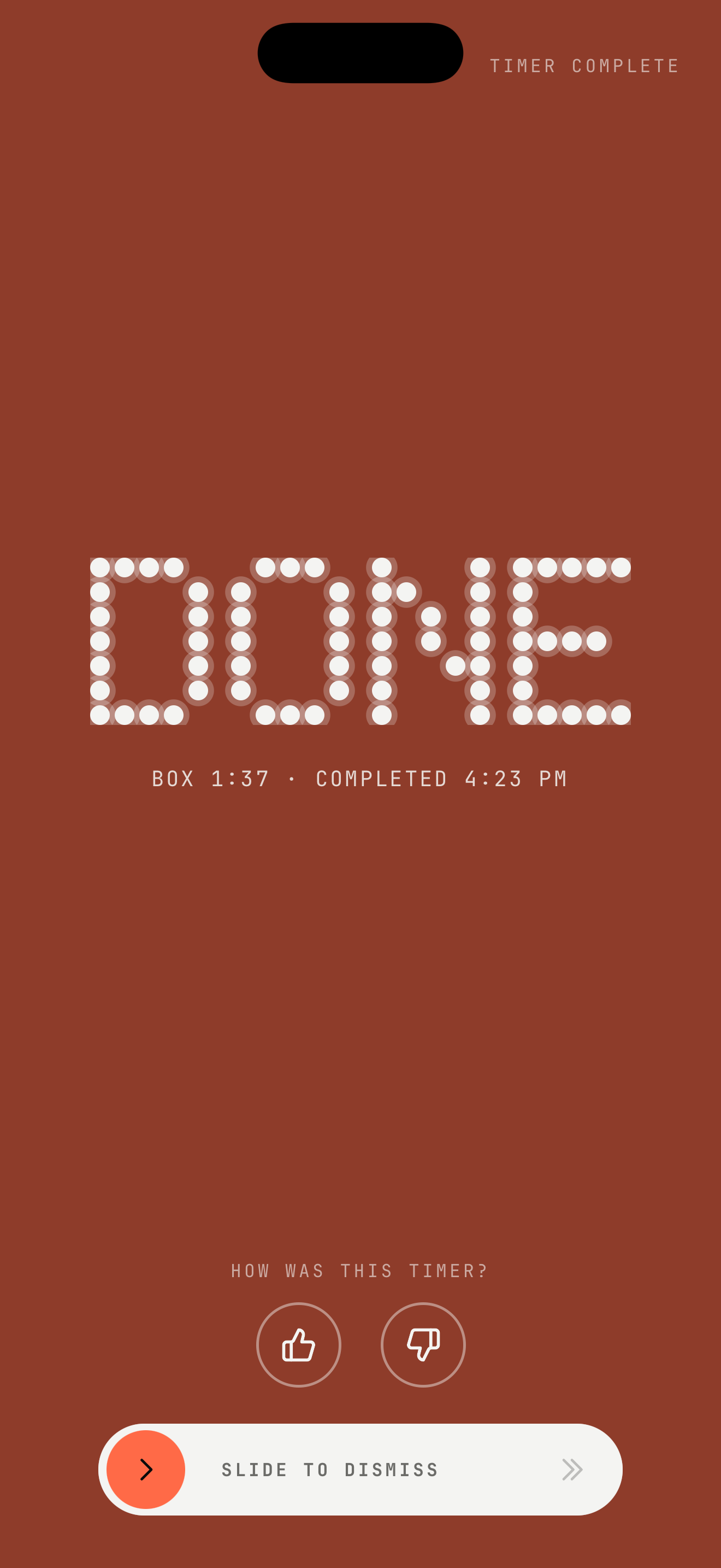 Cue Voice Timer screenshot 6