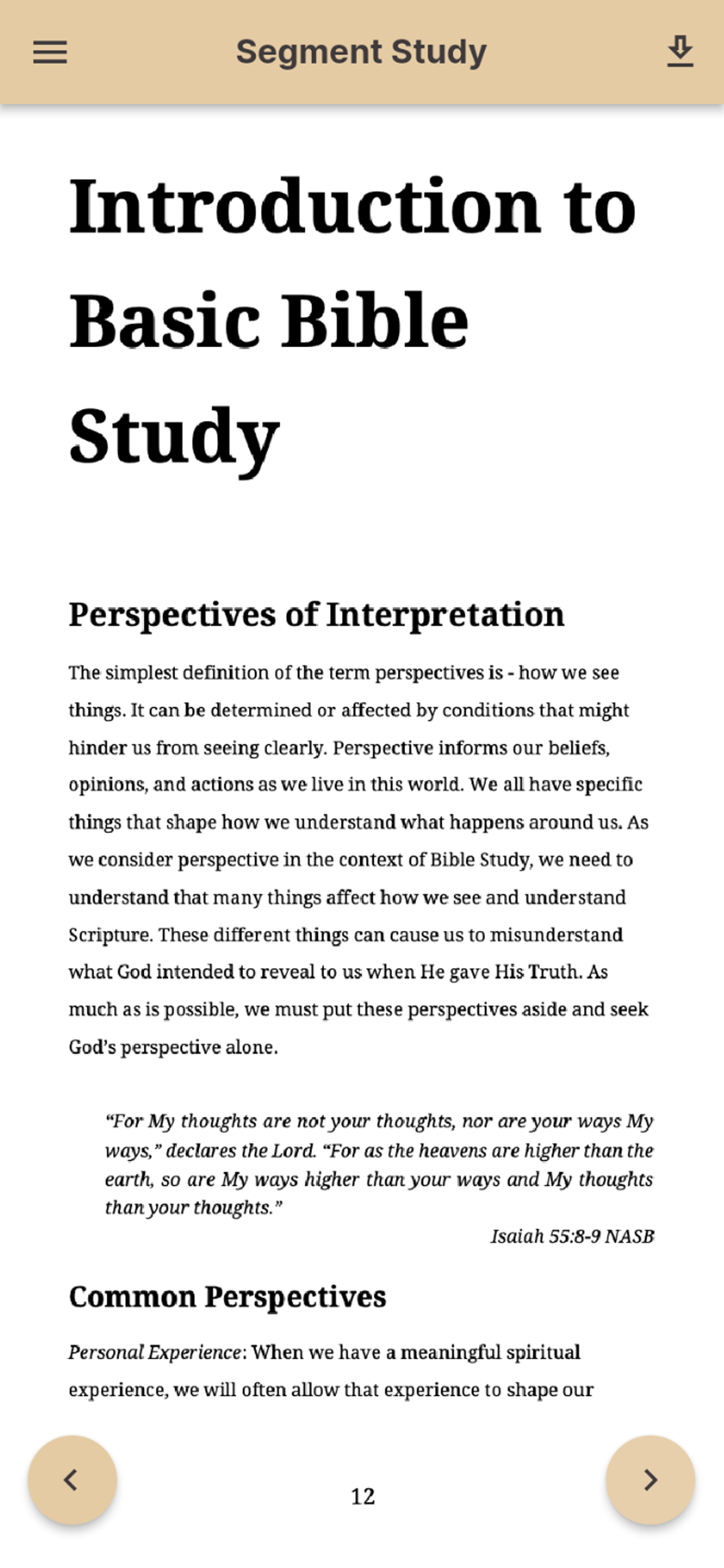 Ancient Promise International screenshot 5