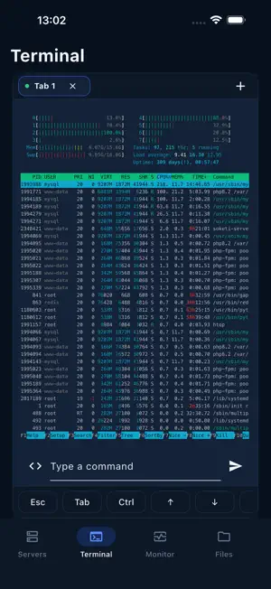 TermiShell screenshot 2