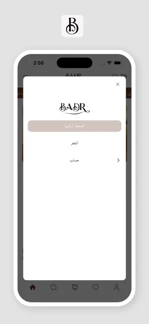 BADR screenshot 2
