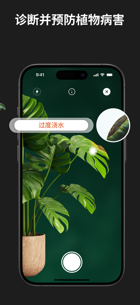 植物识别, 识别植物软件 - 识花, 拍照识别植物 screenshot 2