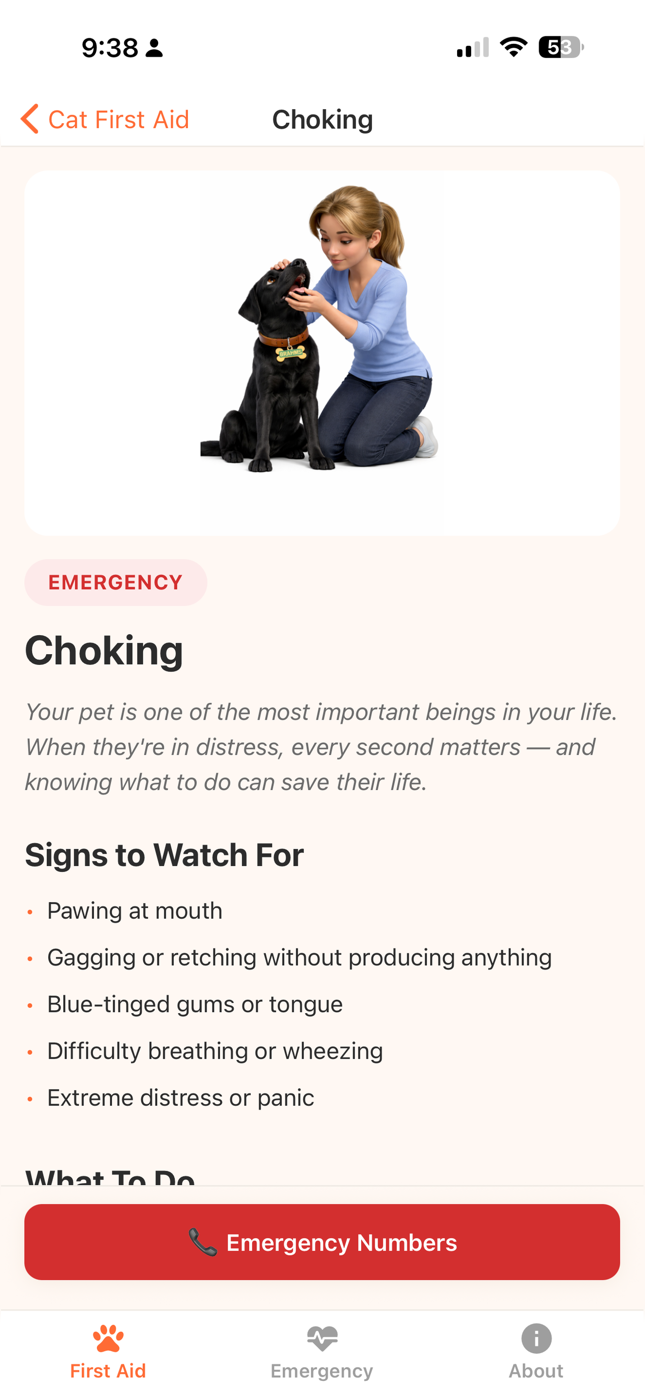 Dr. Brahmsy's Pet First Aid