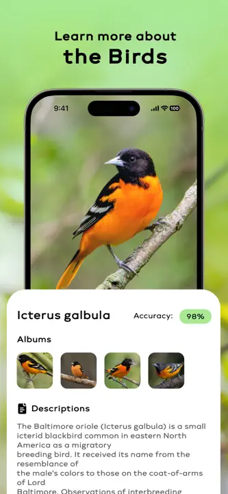 Bird Sounds Identifier Call IDのスクリーンショット（4/6）