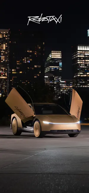 Tesla Robotaxi screenshot 1