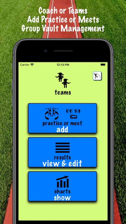 iPoleVault ( Track and Field ) screenshot-3