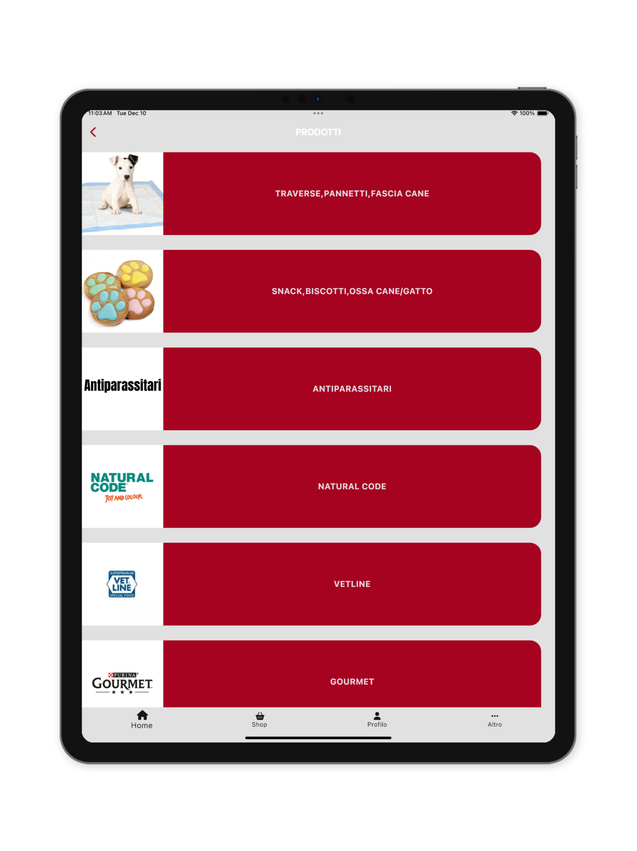 MISTERDOG SHOWROOM screenshot 5