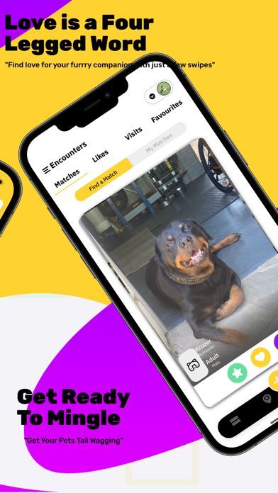 Pawsitive-Pet Tinder Dating Screenshot