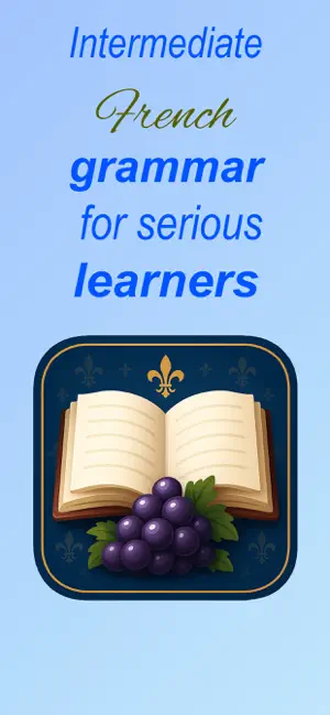 French Grammar - Intermediate screenshot 1