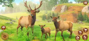 Elk Horizon Journey screenshot 4