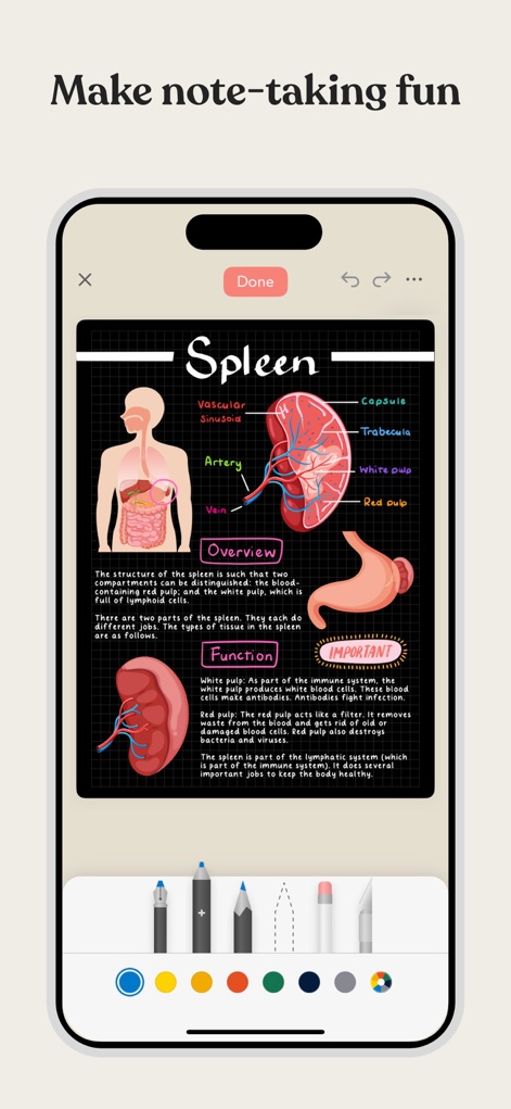 Planner & Journal - Zinnia - Nutzer können komplexe anatomische Diagramme importieren und diese mit vielseitigen Markierungswerkzeugen annotieren, um Lernmaterialien effektiv aufzubereiten.