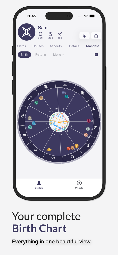 Horos - Birth Chart screenshot 4
