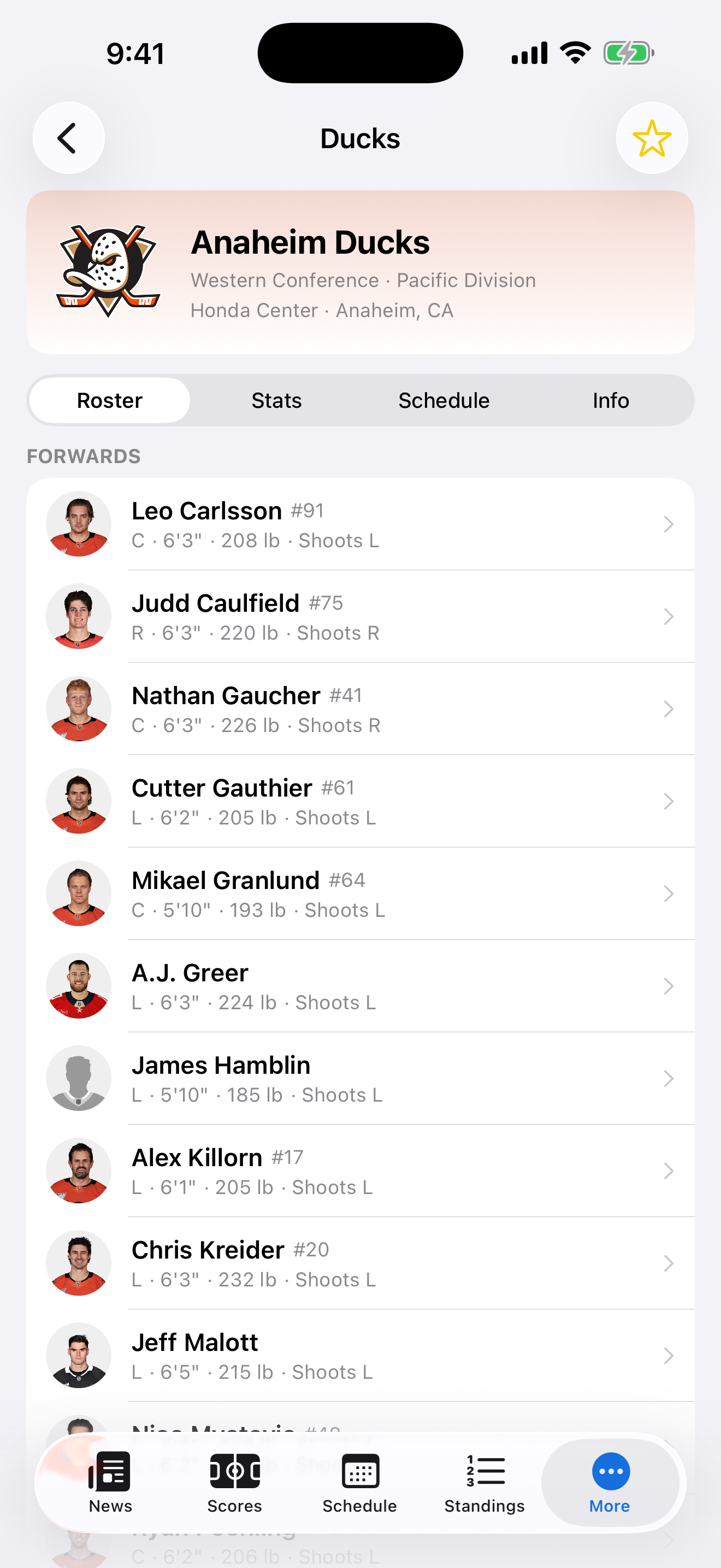 Center Ice screenshot 7