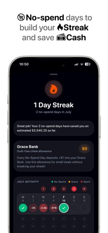 Brief: Expense Tracker iPhone screenshot