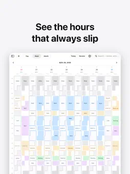 Sync: Plan & Actual screenshot 9