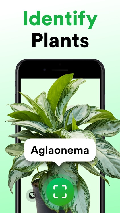 Plantly: Plant Identification