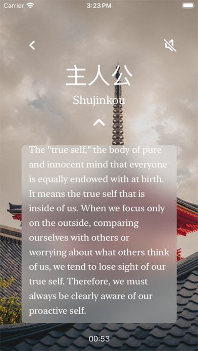 ZenReflection App Screenshot