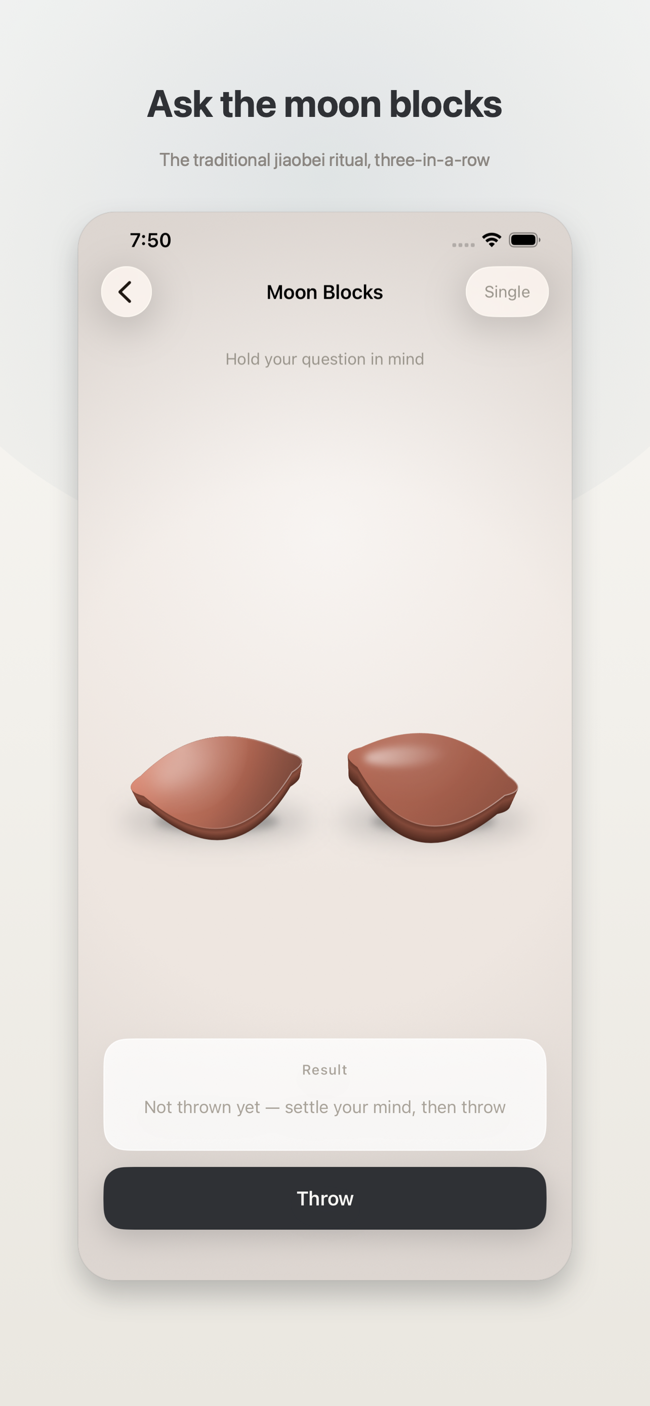 Flip It: Decision Maker screenshot 3