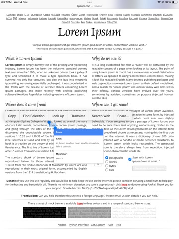 Chin Pop-up Dictionary iPad screenshot