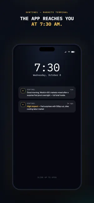 Sentinel Terminal screenshot 4