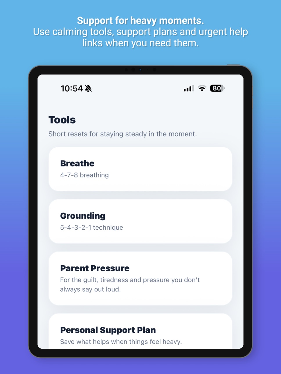 iPad screenshot