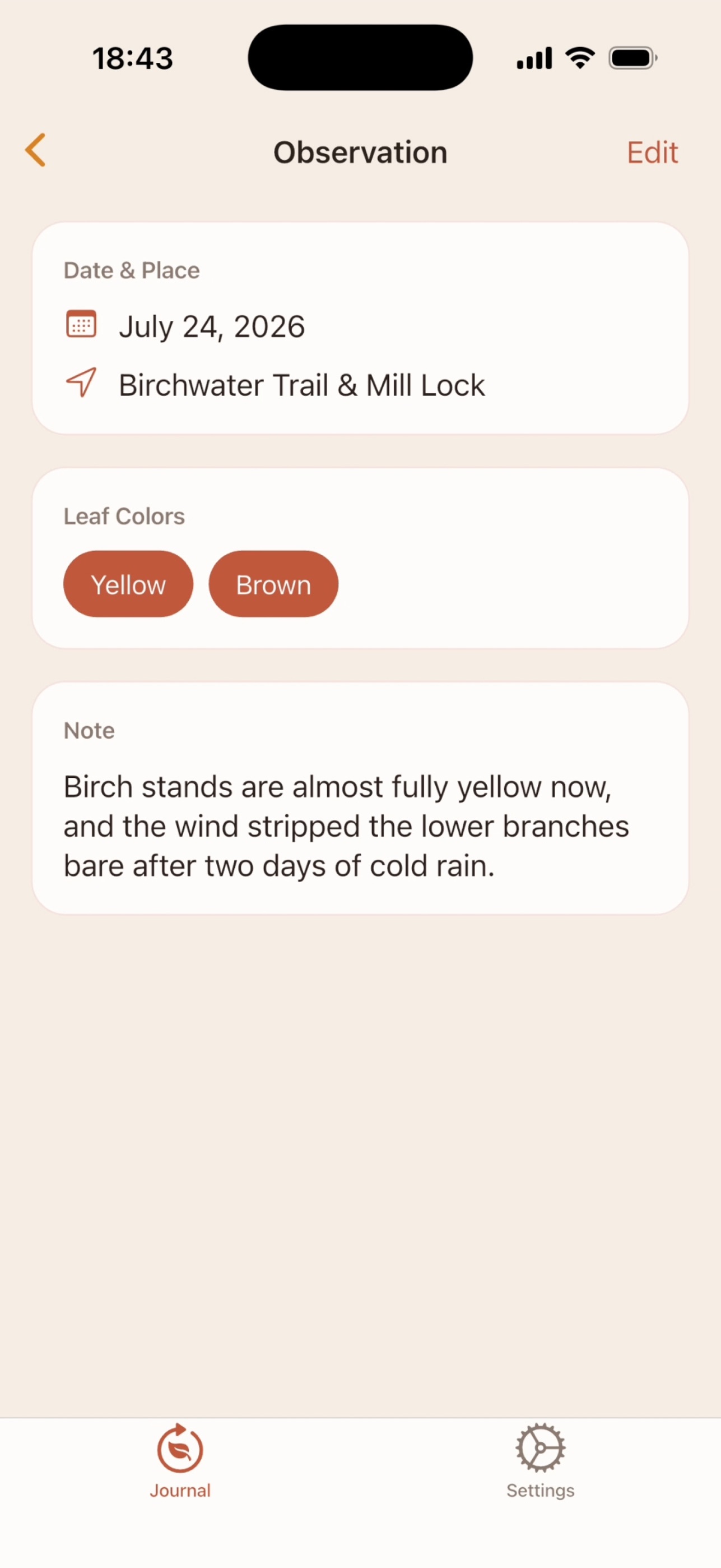 Screenshot 5 of Leafturn: Autumn Notes