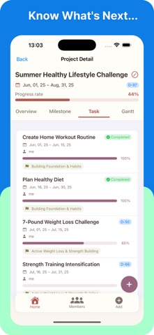 Project RoadMap Screenshot 7 of 9