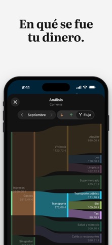 Topf: control de gastos screenshot 3