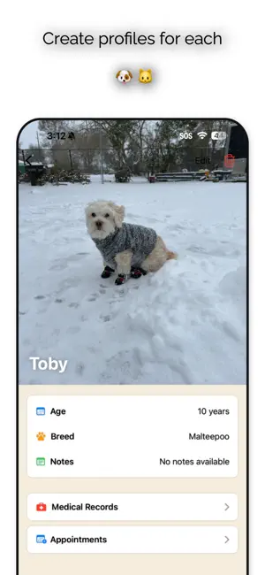 Toby's Journal screenshot 4