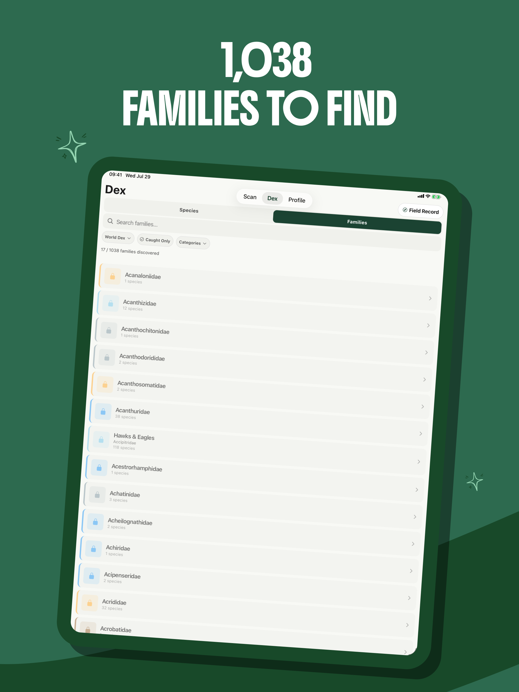 RealDex screenshot 9