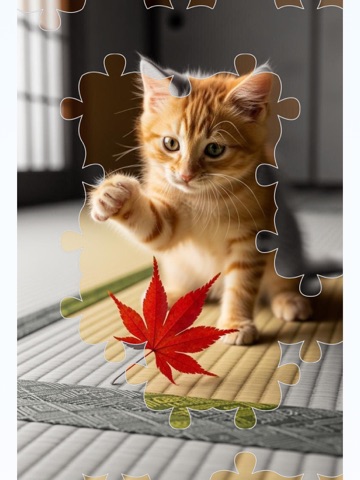 Jigsaw Zen iPad screenshot