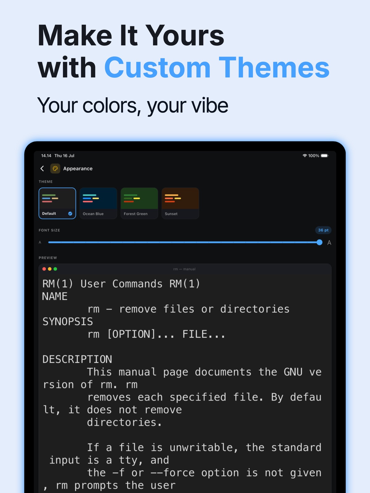 Terminal & SSH - ipad screenshot 3