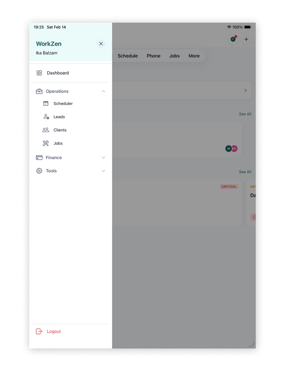iPad screenshot