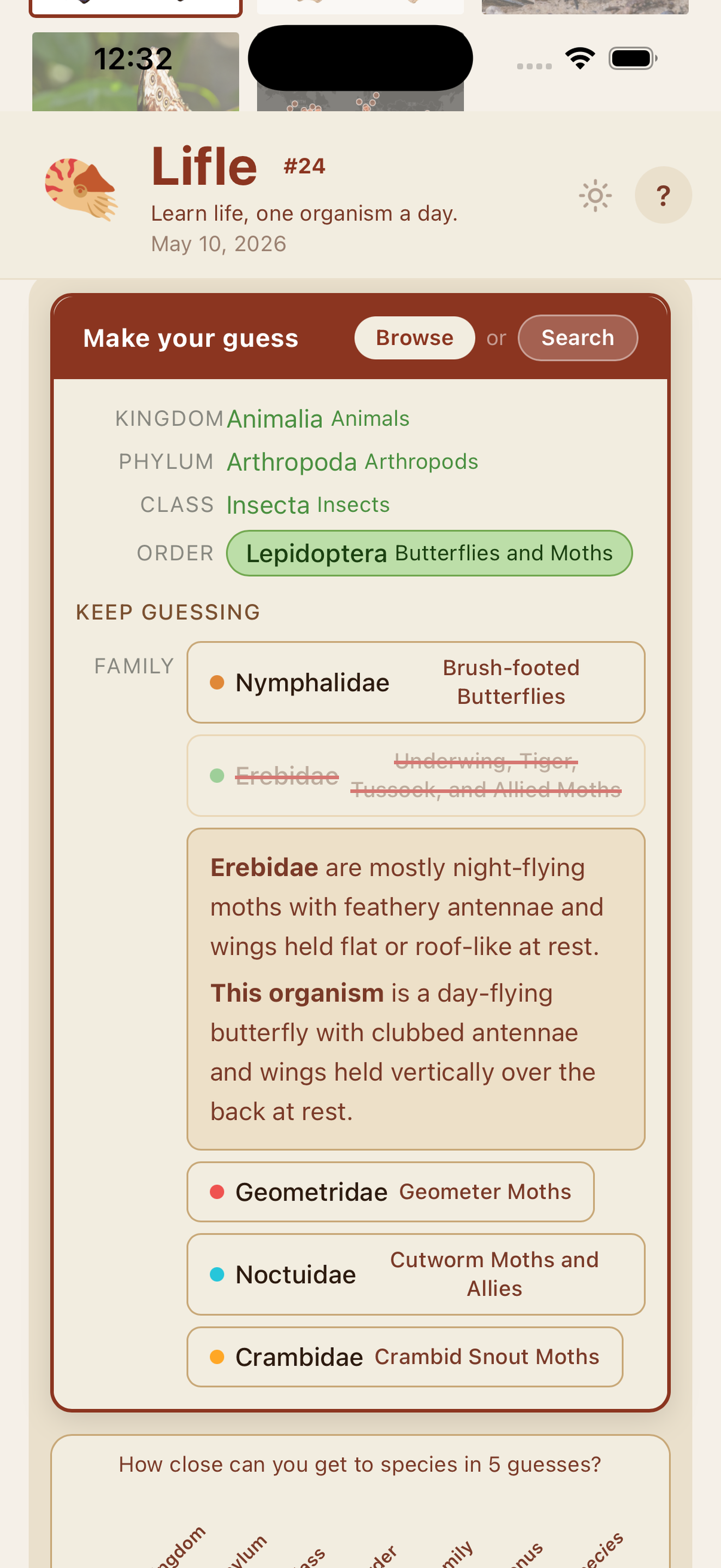 Lifle - Daily Nature Quiz