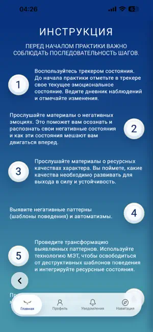 МЕТ screenshot 2