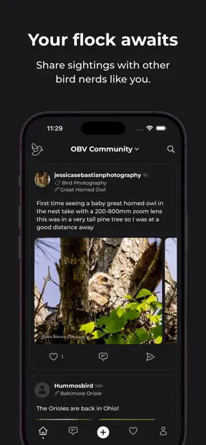 wildbirds: birding & community screenshot 1