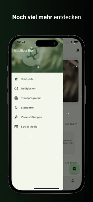 Gablitzer screenshot 3