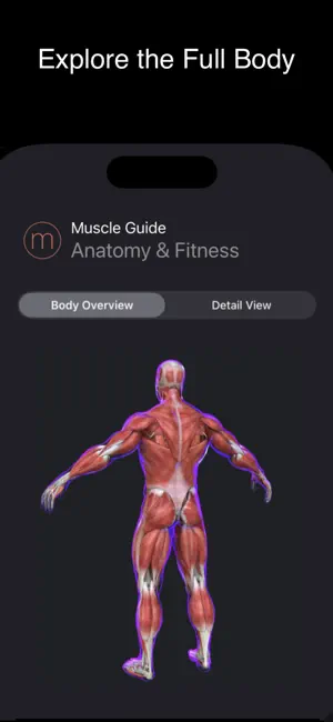 Fitness Muscle Guide screenshot 2