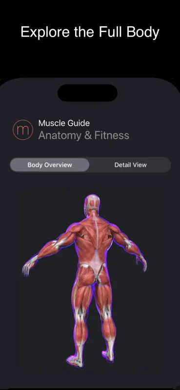 Fitness Muscle Guide screenshot 2 of 4