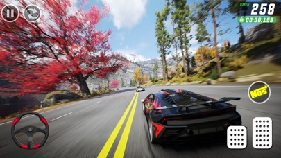 Car Driving Simulator Games 24 Screenshot