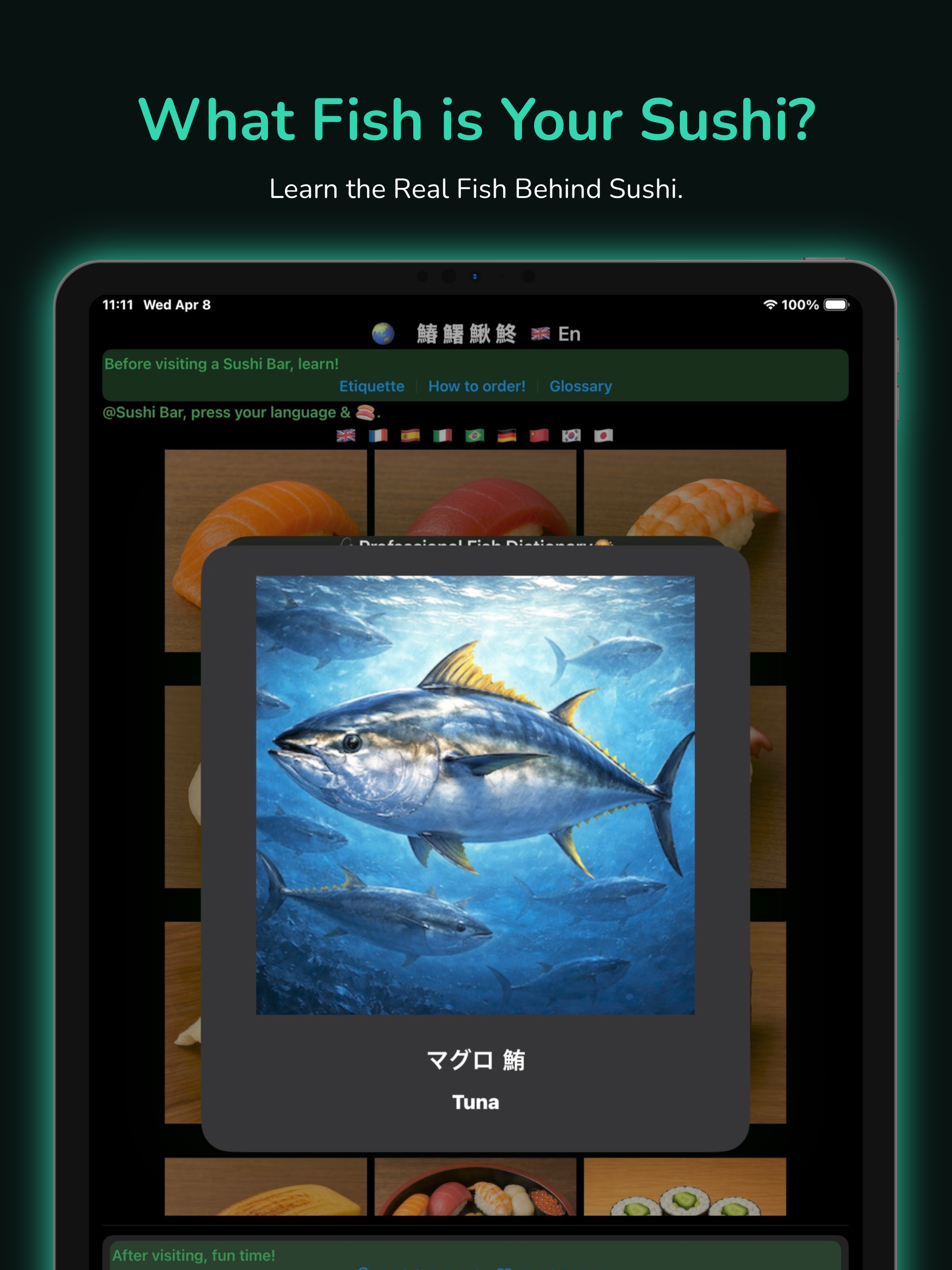 Sushi for Travelers in Japan screenshot 11