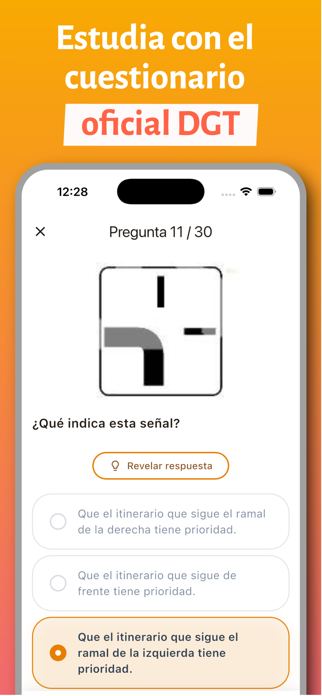 TeoricoEsp Screenshot 3 of 5